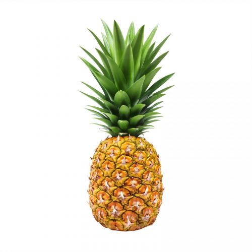 Ανανάς Εισαγωγής