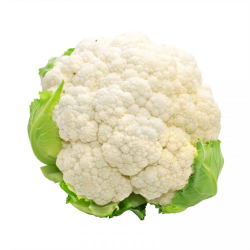 Κουνουπίδι